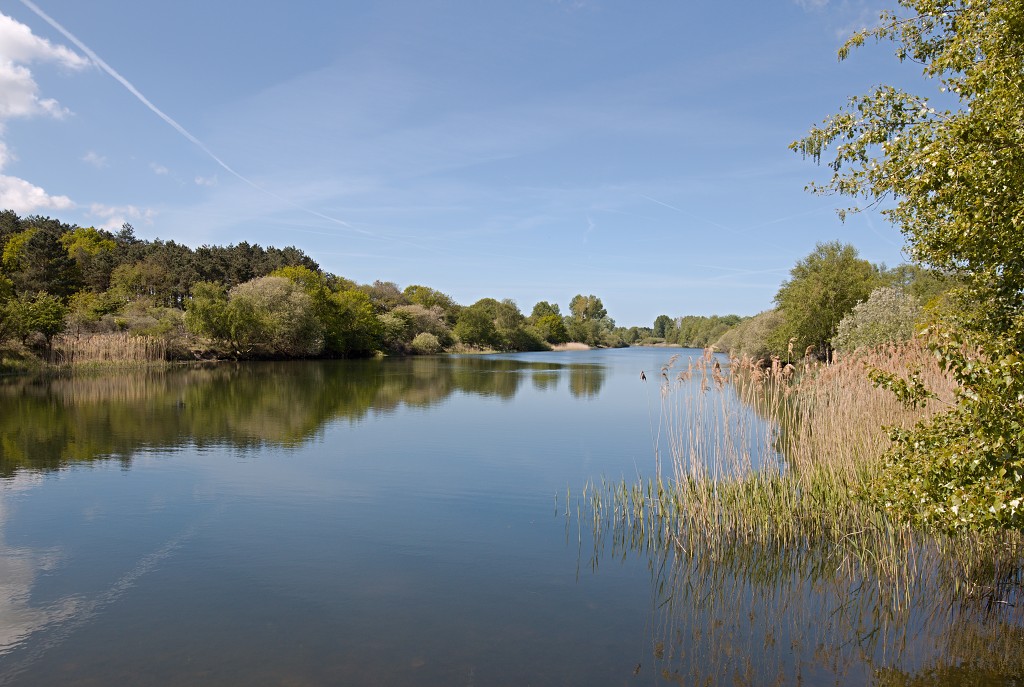 AWD Amsterdamse Waterleidingduinen natuurgebied polder bos vos hert herten damhert duinen zandvoort waterwingebied